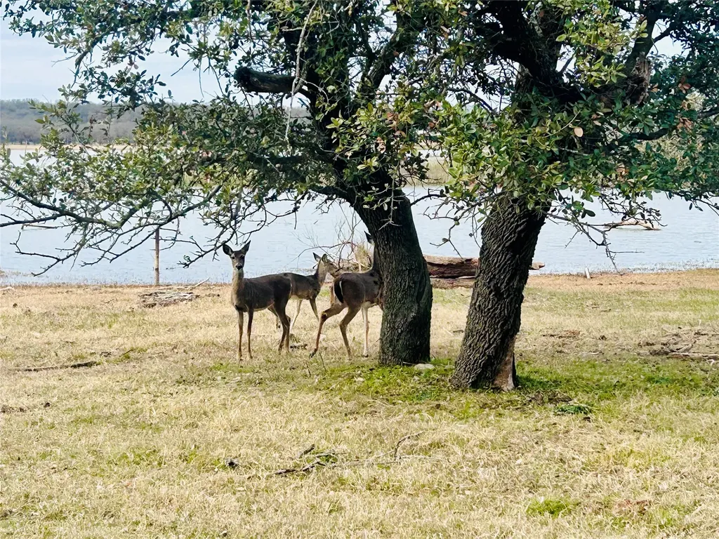 3420 Bounding Main Drive May TX 76857