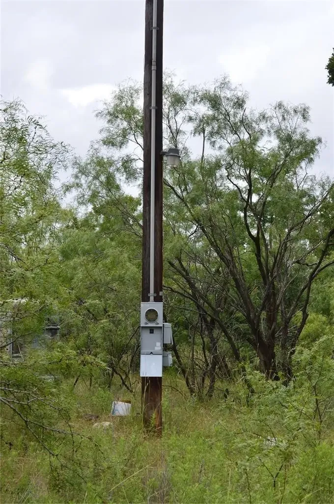 Tbd Co Road 400 Carbon TX 76435