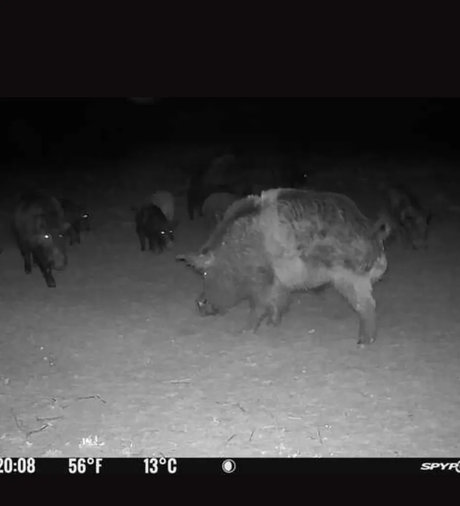 Tbd Co Road 400 Carbon TX 76435