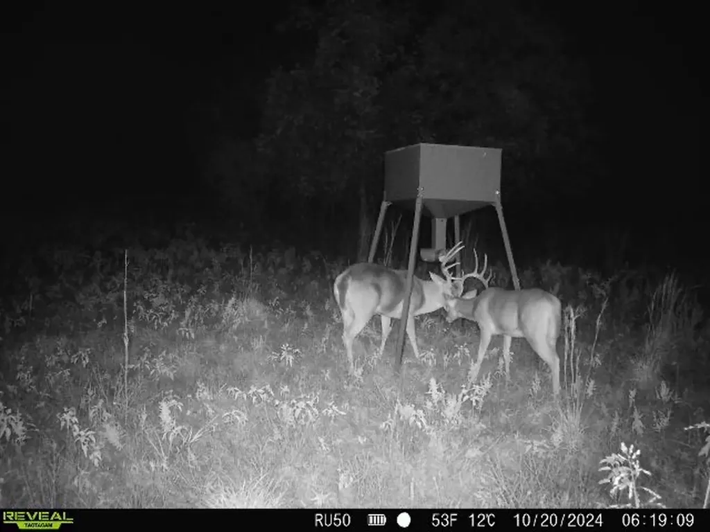 Tbd Co Road 400 Carbon TX 76435