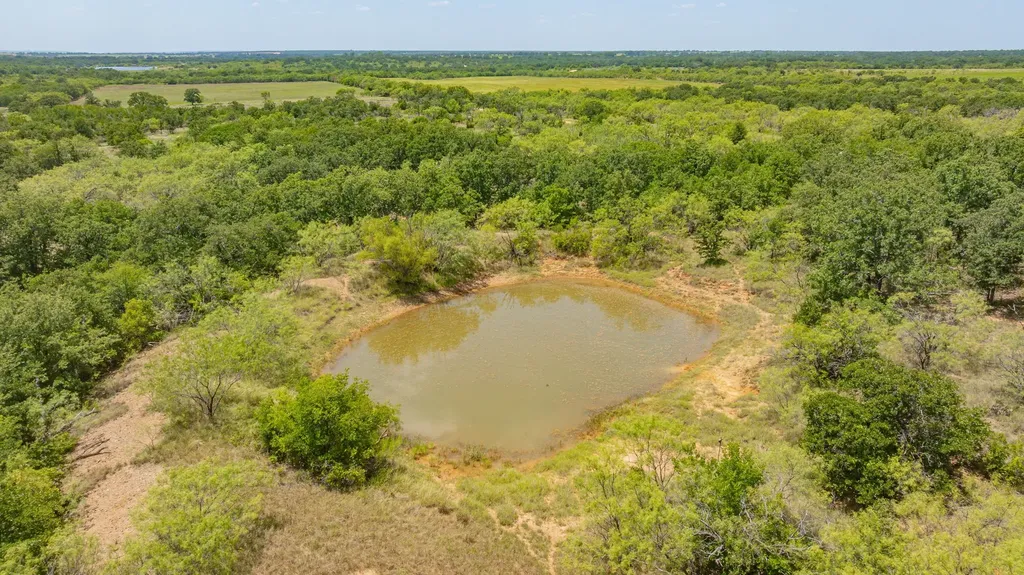 Tbd Co Road 400 Carbon TX 76435