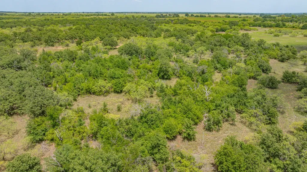 Tbd Co Road 400 Carbon TX 76435