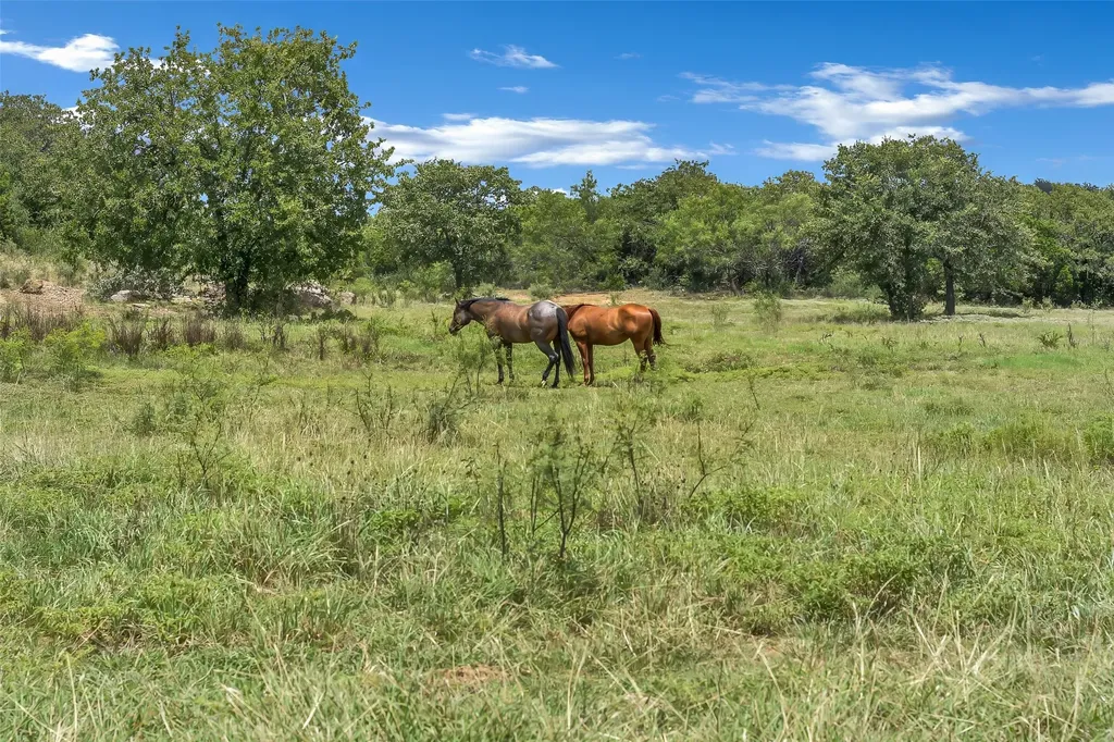 3911 N Highway 281 Mineral Wells TX 76067