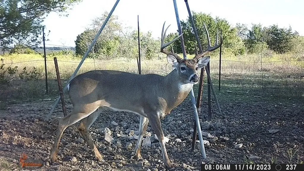 2401 County Road 382 Carlton TX 76436