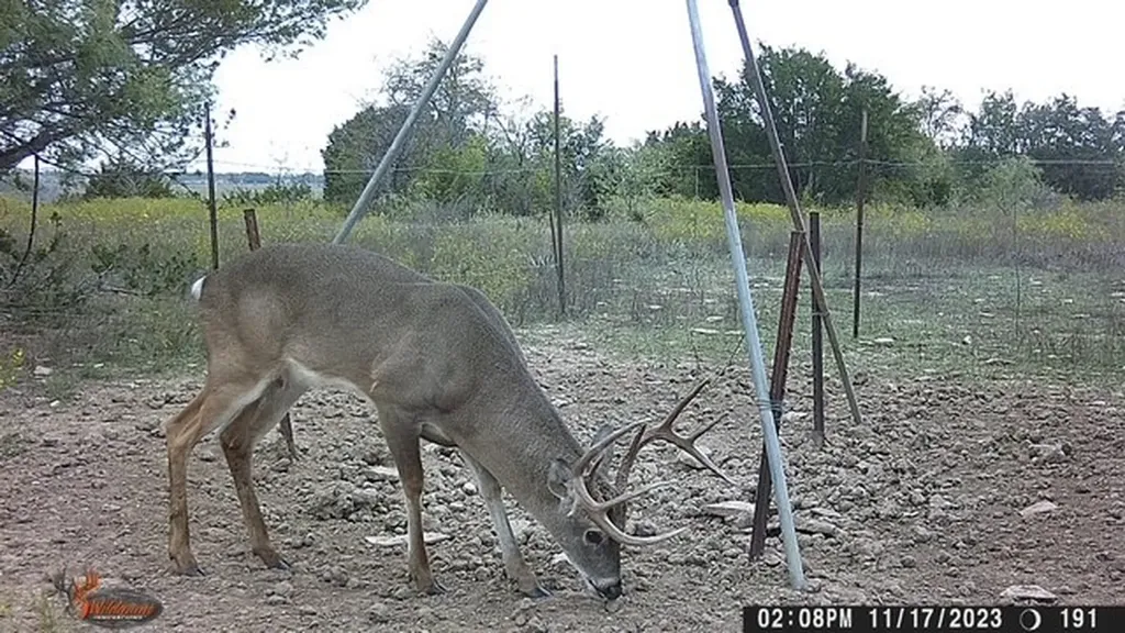 2401 County Road 382 Carlton TX 76436