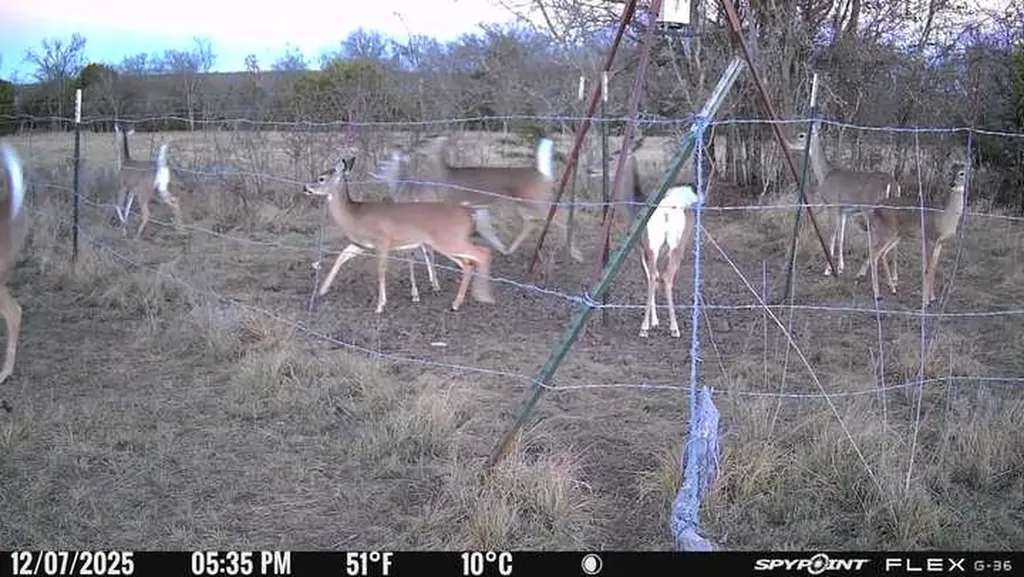 2401 County Road 382 Carlton TX 76436