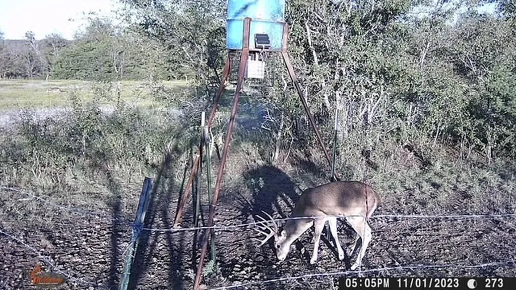 2401 County Road 382 Carlton TX 76436