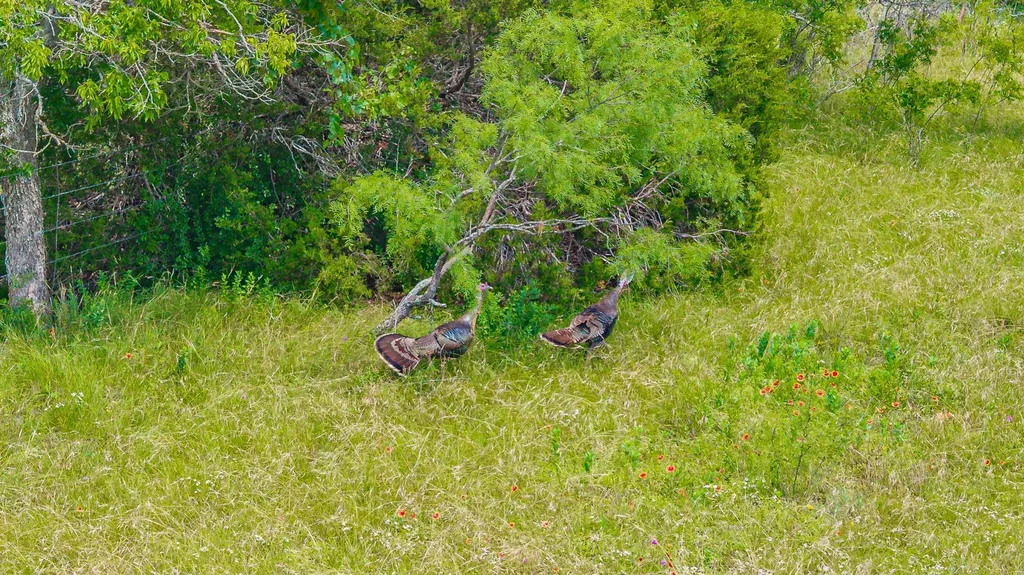 2401 County Road 382 Carlton TX 76436