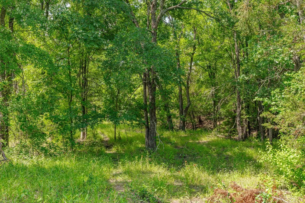 2401 County Road 382 Carlton TX 76436