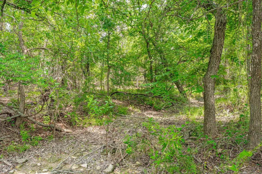 2401 County Road 382 Carlton TX 76436