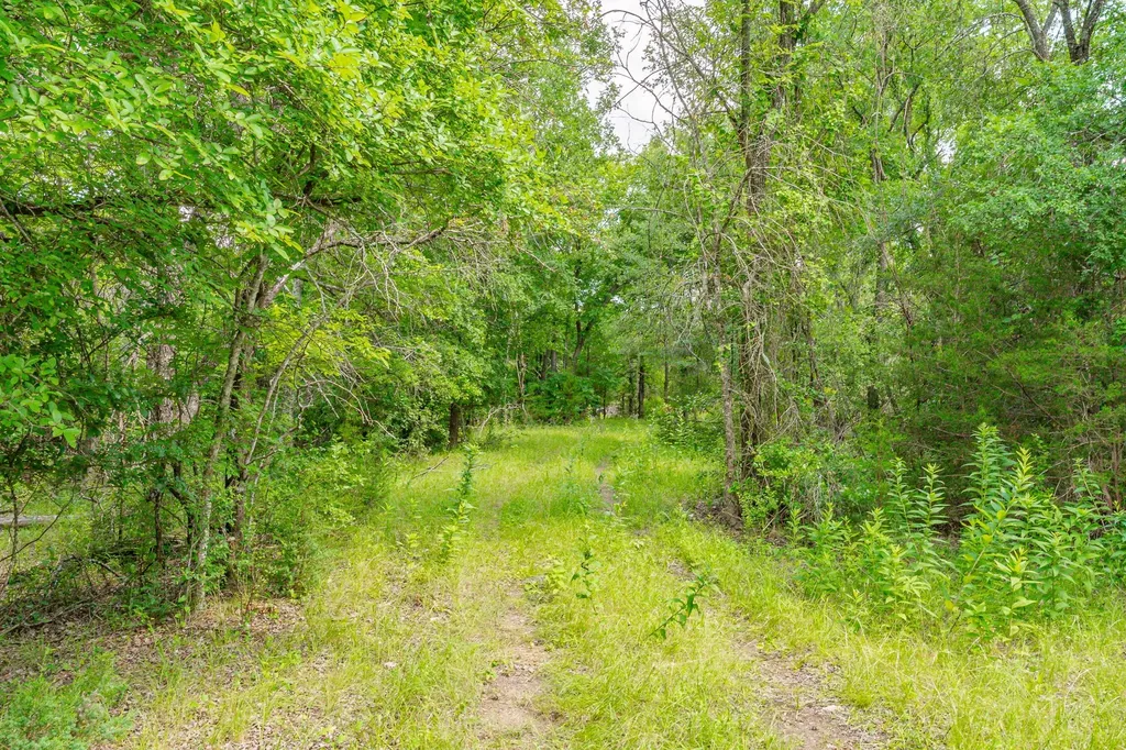 2401 County Road 382 Carlton TX 76436