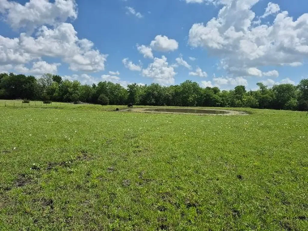 9561 N Tx-50 Highway Ladonia TX 75449