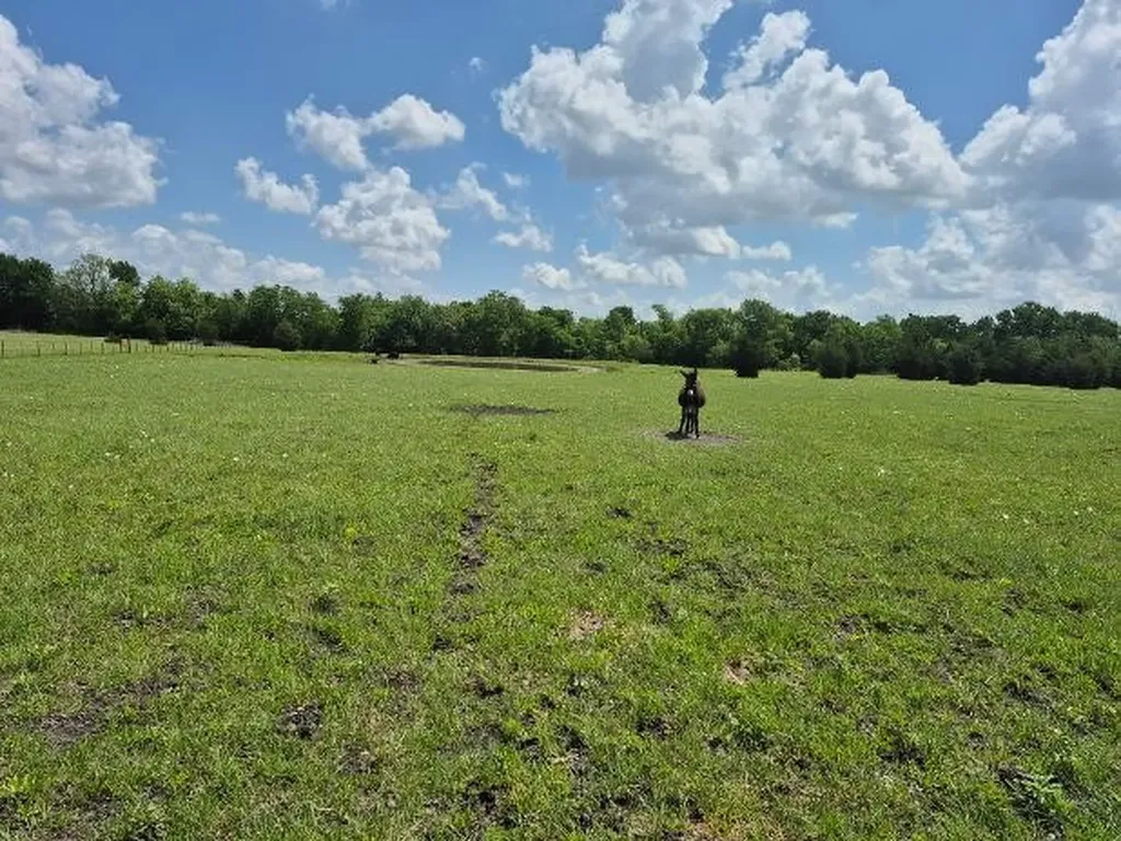 9561 N Tx-50 Highway Ladonia TX 75449