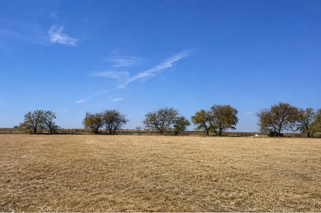 4411 Tbd Hcr Grandview TX 76050