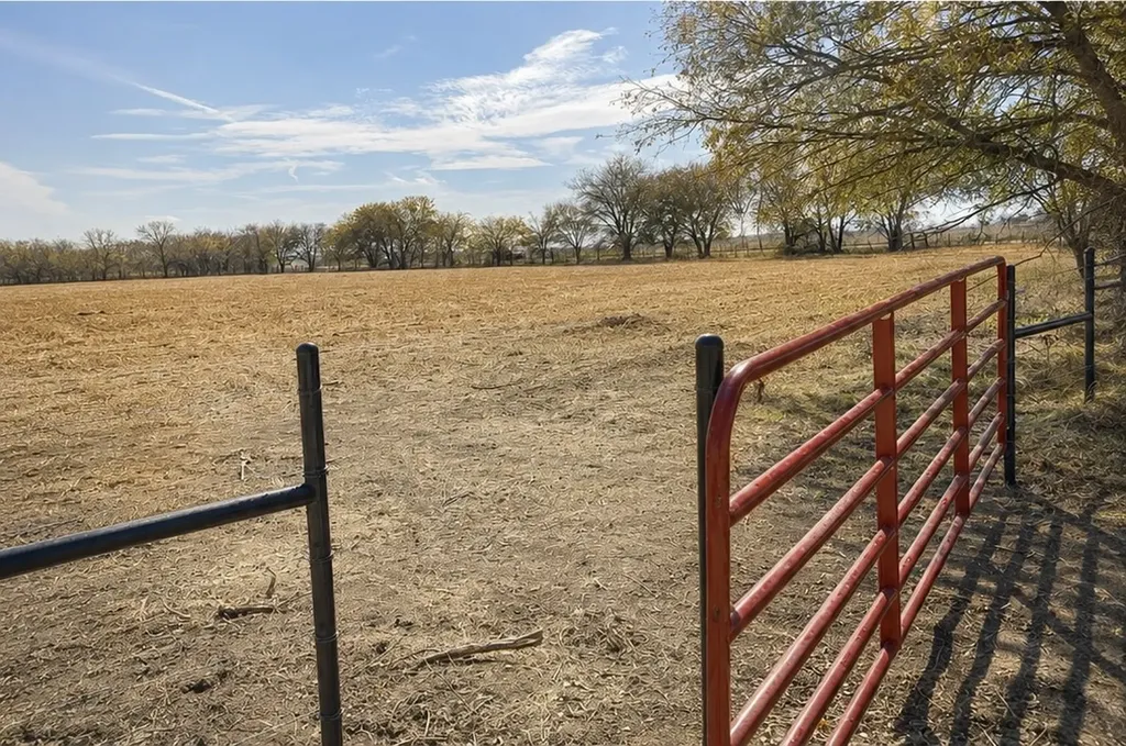 4411 Tbd Hcr Grandview TX 76050