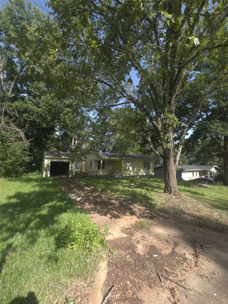 206 Wills Drive Daingerfield TX 75638