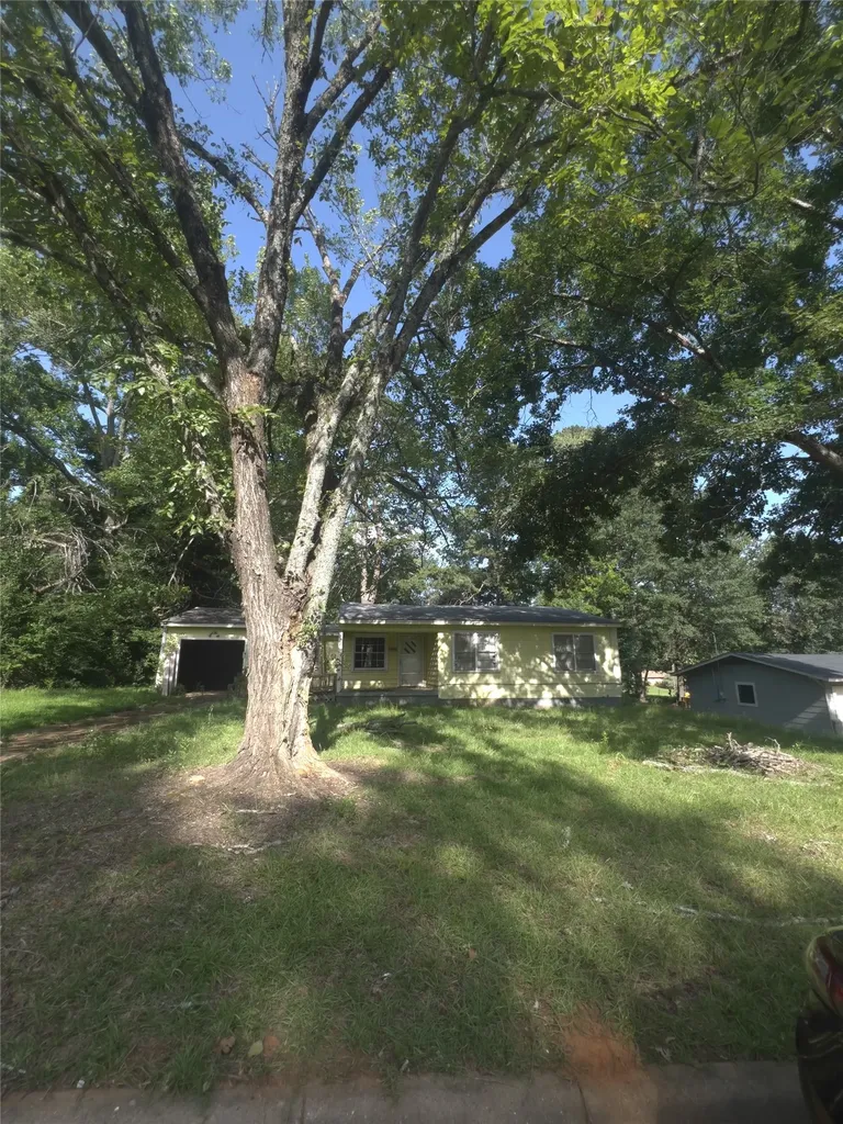 206 Wills Drive Daingerfield TX 75638