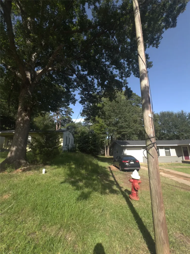 206 Wills Drive Daingerfield TX 75638