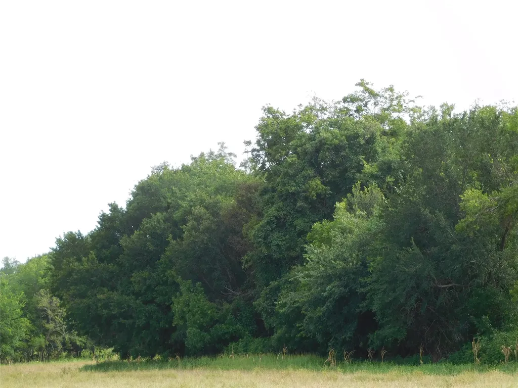 Tbd Fm 2114 Hubbard TX 76648