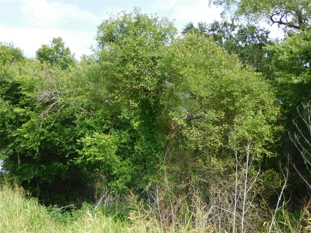 Tbd Fm 2114 Hubbard TX 76648
