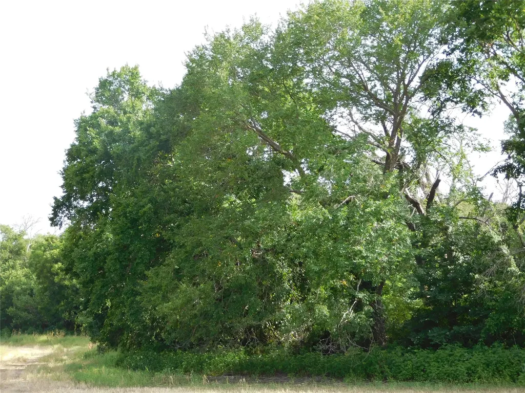 Tbd Fm 2114 Hubbard TX 76648