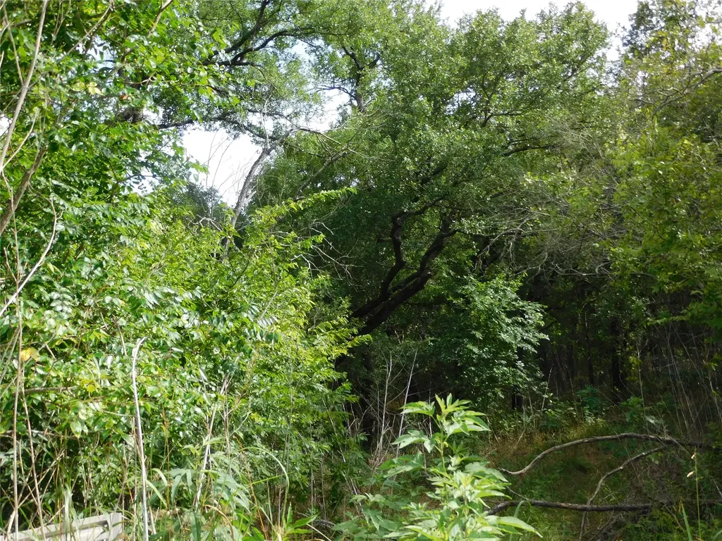 Tbd Fm 2114 Hubbard TX 76648