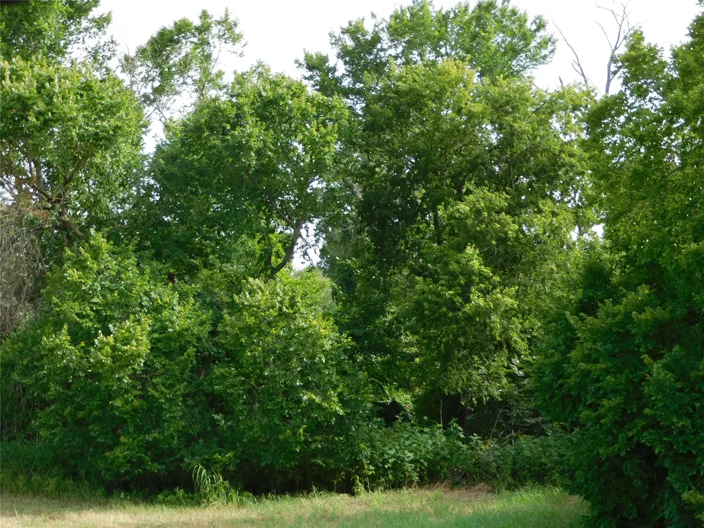 Tbd Fm 2114 Hubbard TX 76648