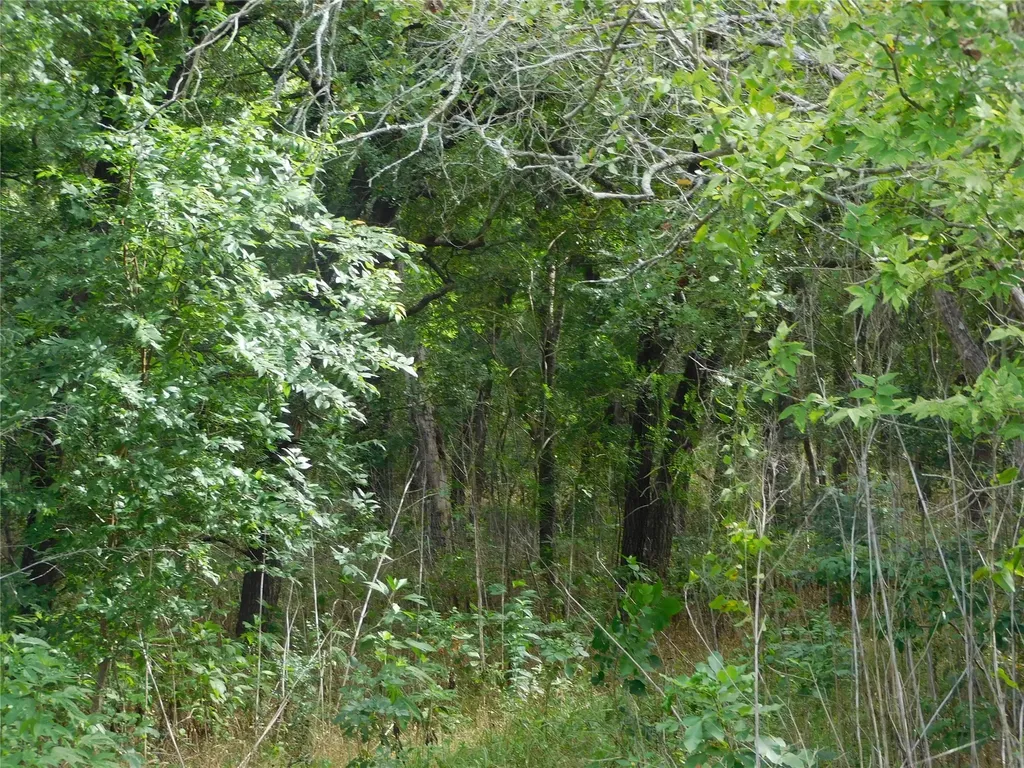 Tbd Fm 2114 Hubbard TX 76648
