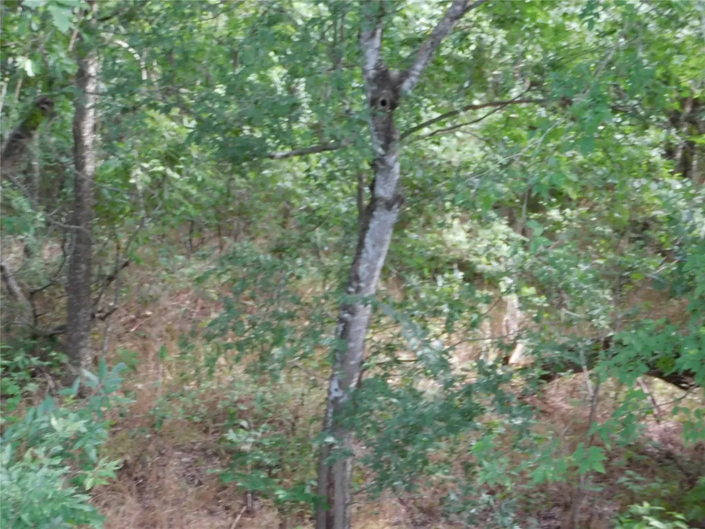Tbd Fm 2114 Hubbard TX 76648