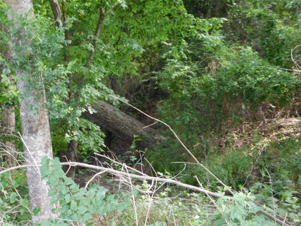 Tbd Fm 2114 Hubbard TX 76648