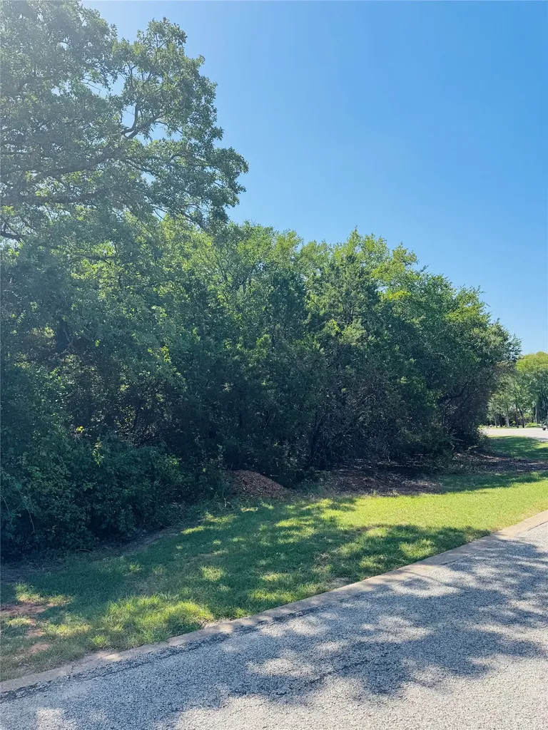 24019 Wood Hollow Drive Whitney TX 76692