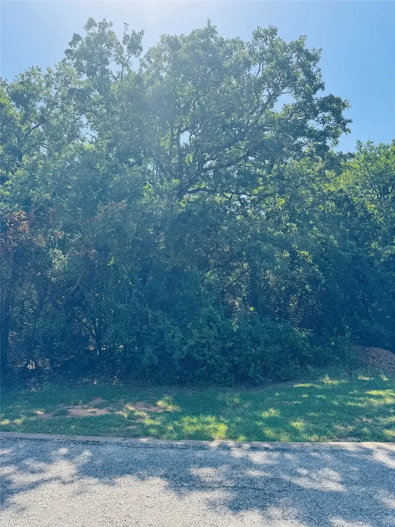 24019 Wood Hollow Drive Whitney TX 76692