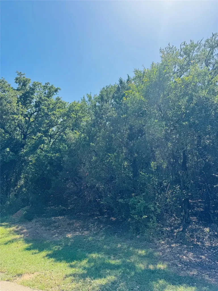 24019 Wood Hollow Drive Whitney TX 76692