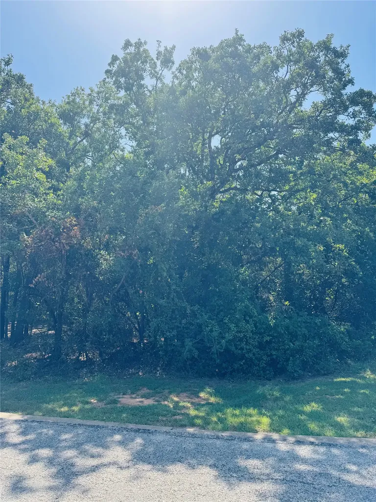 24019 Wood Hollow Drive Whitney TX 76692