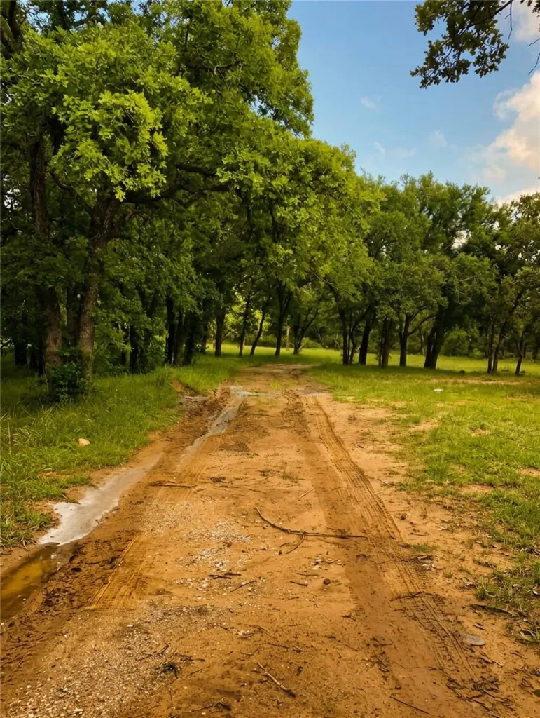 115 Lacewell Street Jacksboro TX 76458
