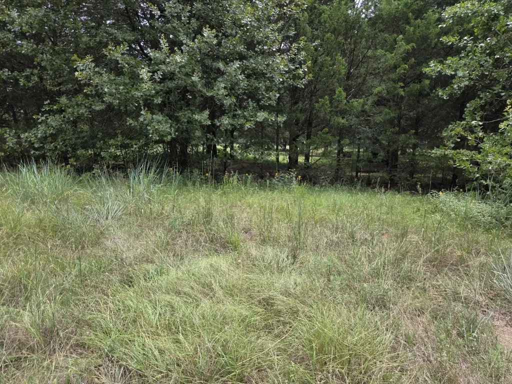 126 Tipps Road Whitesboro TX 76273