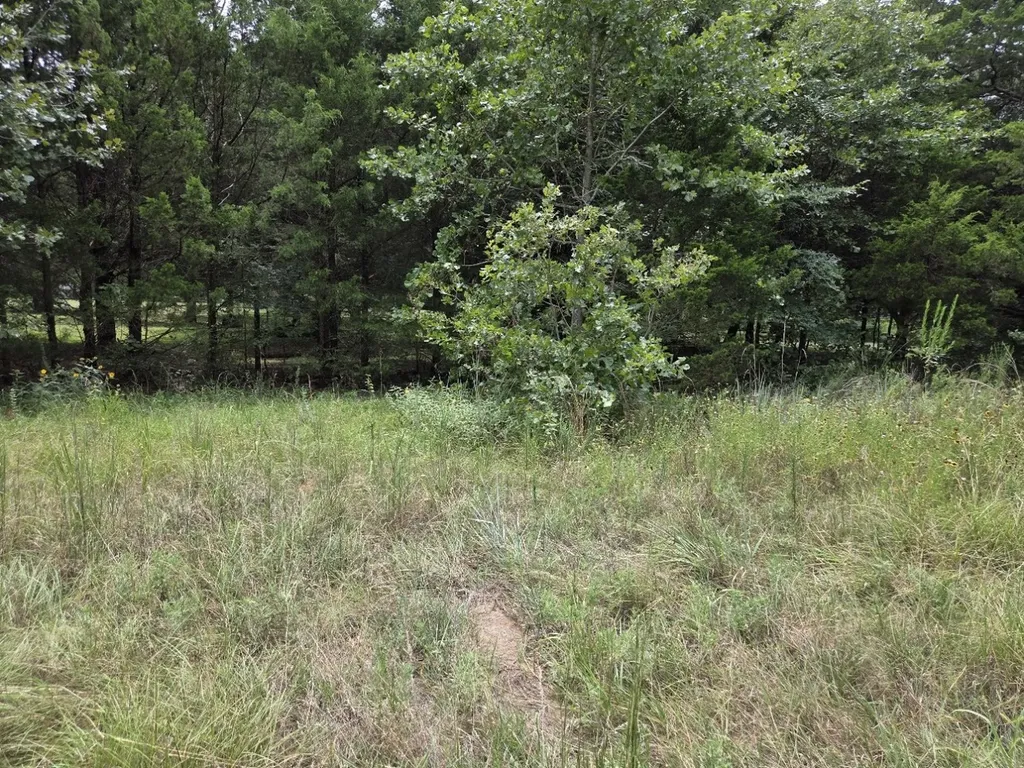 126 Tipps Road Whitesboro TX 76273