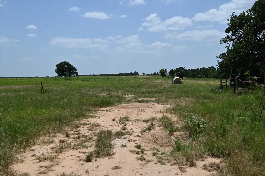 54 Acres Tbd Cr 195 Gorman TX 76454