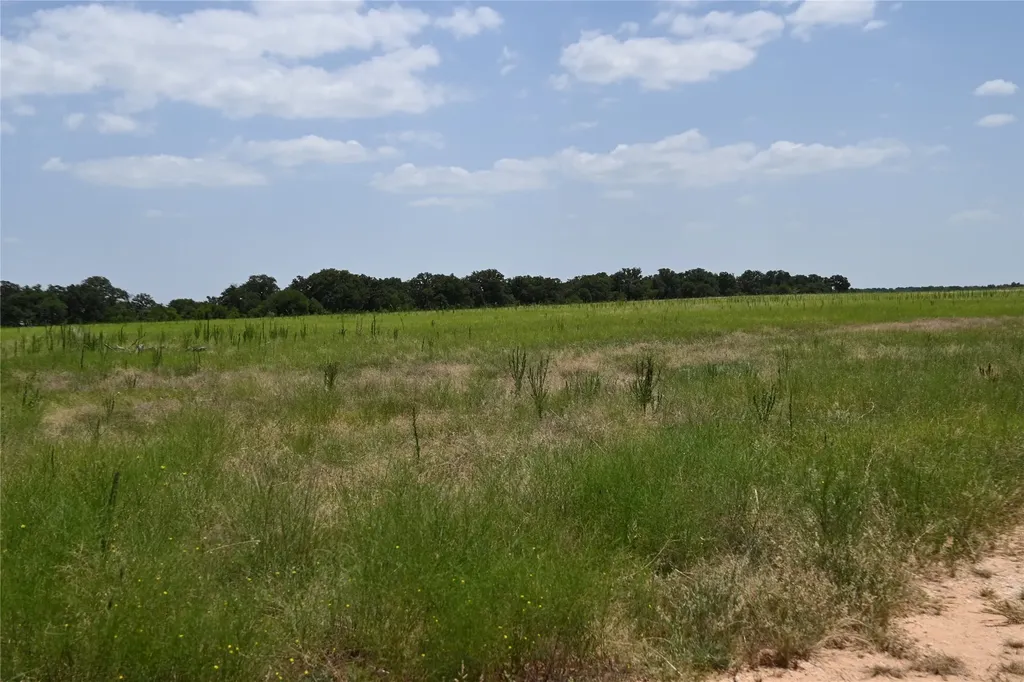 54 Acres Tbd Cr 195 Gorman TX 76454