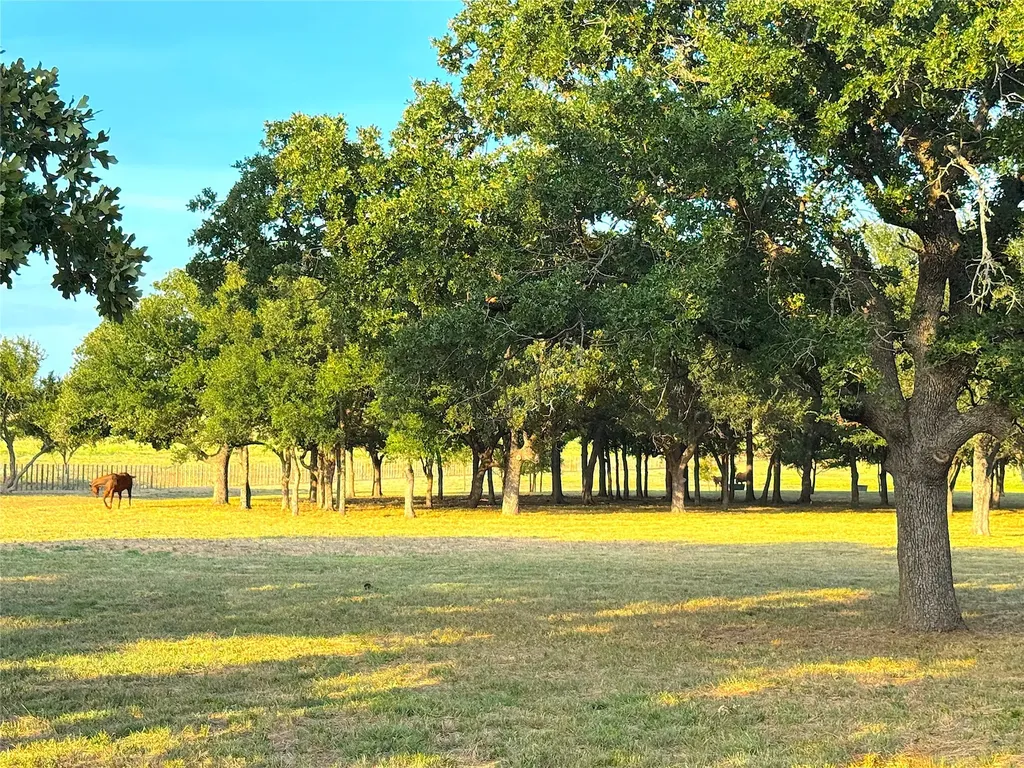 10670 N Highway 281 Perrin TX 76486