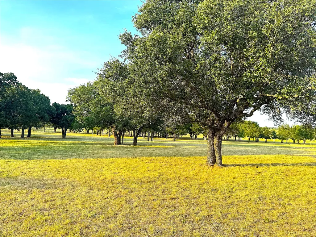 10670 N Highway 281 Perrin TX 76486