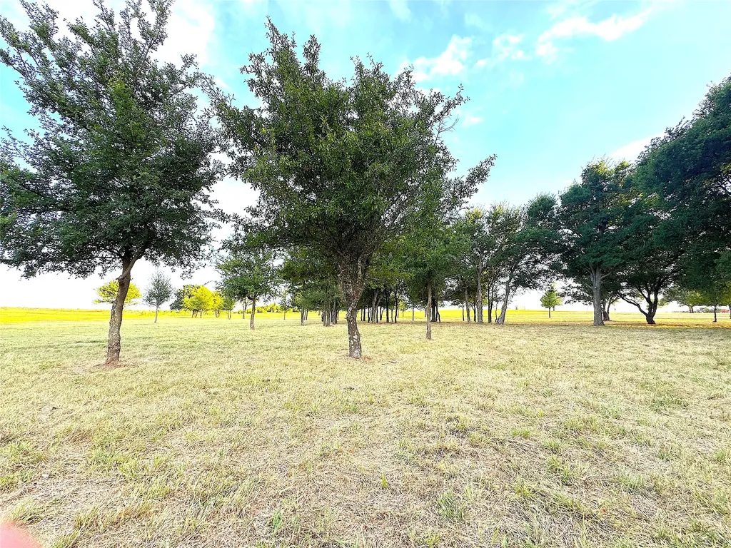 10670 N Highway 281 Perrin TX 76486