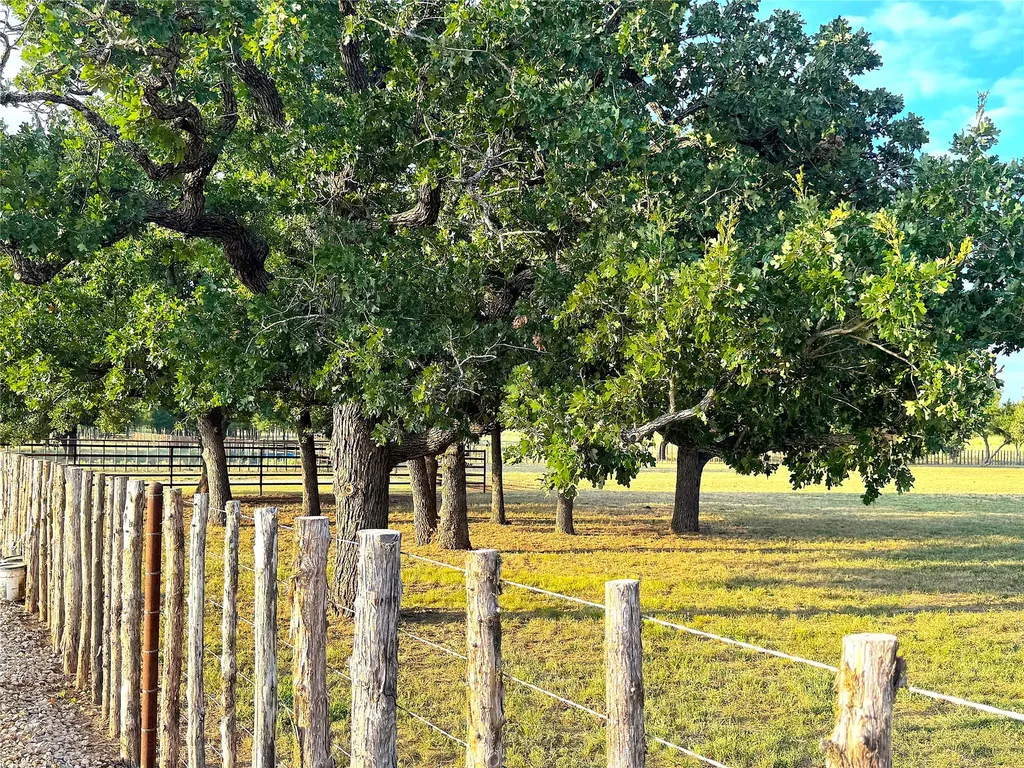 10670 N Highway 281 Perrin TX 76486
