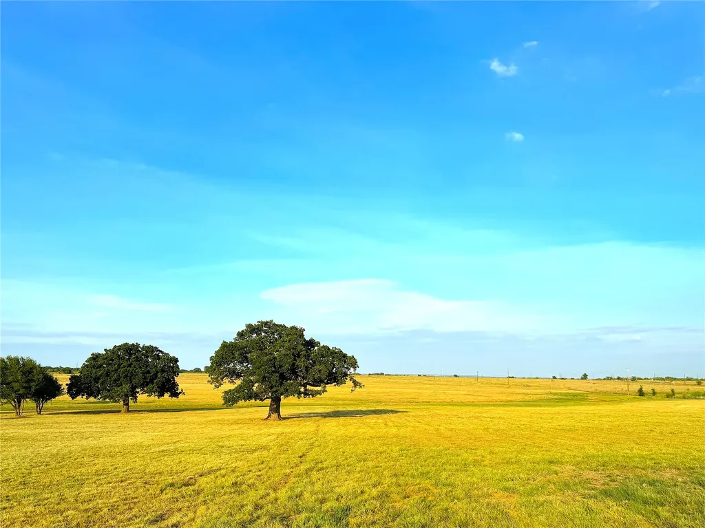 10670 N Highway 281 Perrin TX 76486