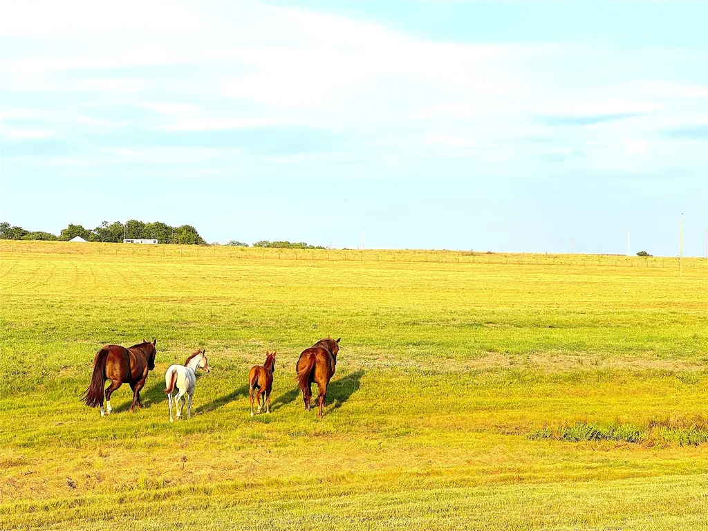 10670 N Highway 281 Perrin TX 76486