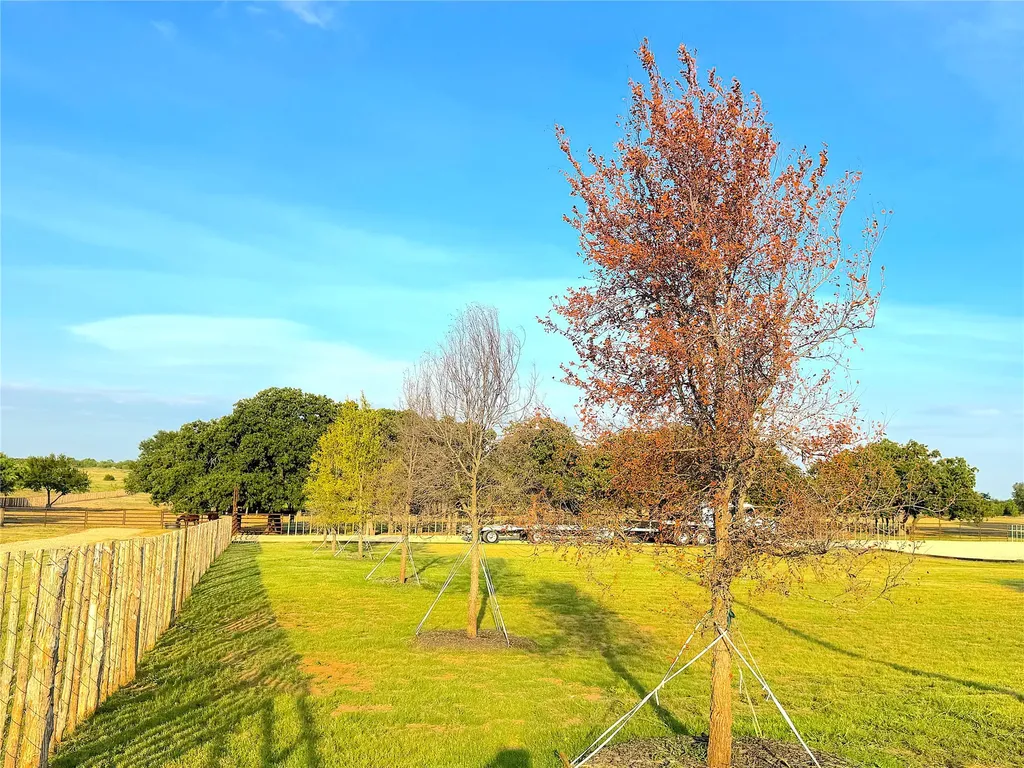 10670 N Highway 281 Perrin TX 76486