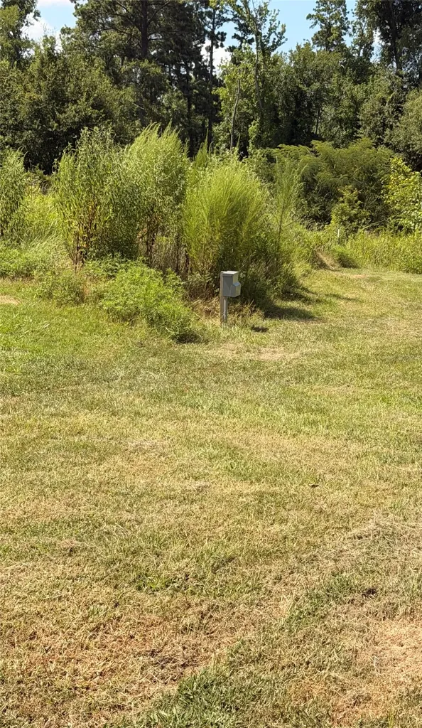 14696 Pecan Road Keithville LA 71047