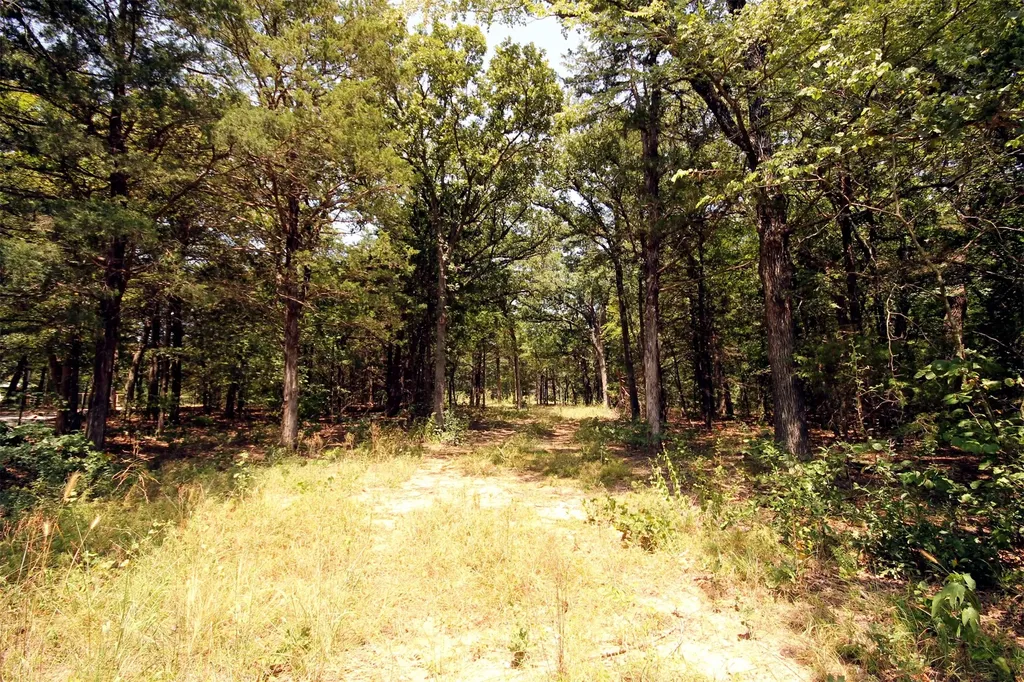 10 County Road 2263 Valley View TX 76272