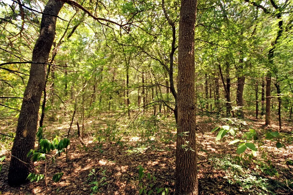 10 County Road 2263 Valley View TX 76272