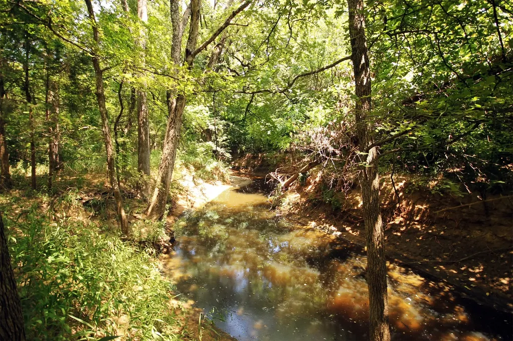 10 County Road 2263 Valley View TX 76272